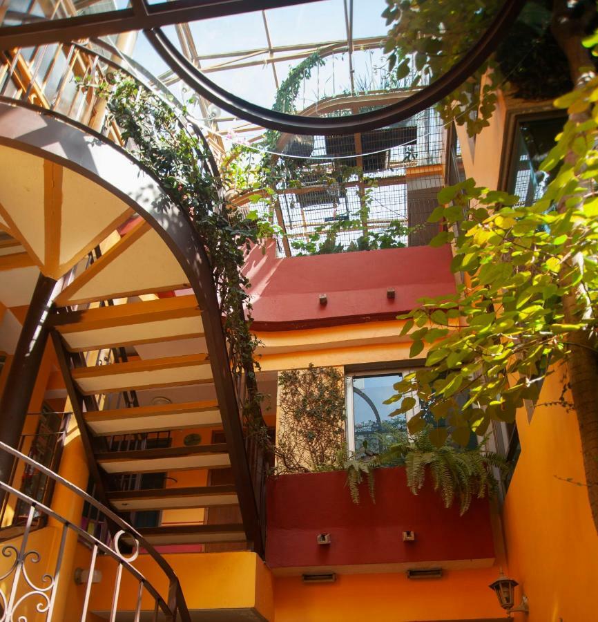 Chalet Del Carmen, Coyoacan Mexico City Exterior photo